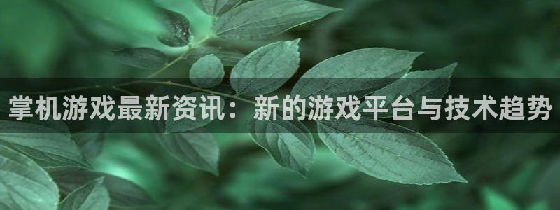 优贝娱乐登录：掌机游戏最新资讯：新的游戏平台与技术趋势