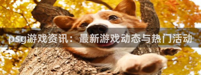 优贝娱乐4招商：psg游戏资讯：最新游戏动态与热门活动