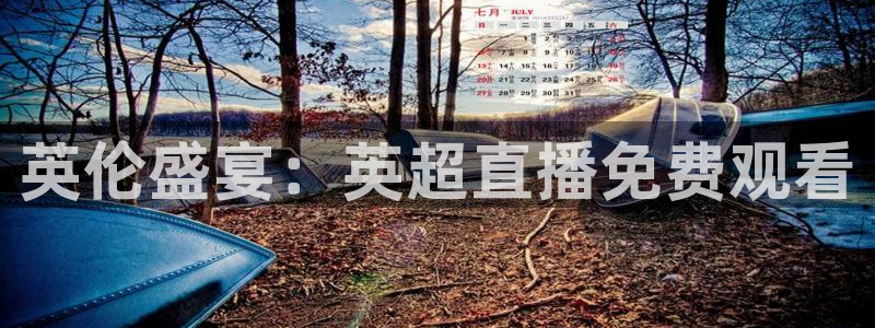 88看球nba足球直播：英伦盛宴：英超直播免费观看