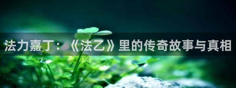 nba88看球直播免费直播：法力嘉丁：《法乙》里的传奇故事与真相