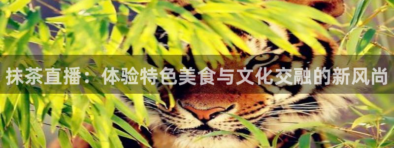 88看球直播官网nba：抹茶直播：体验特色美食与文化交融的新风尚
