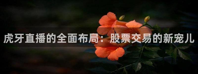 88看球吧直播nba