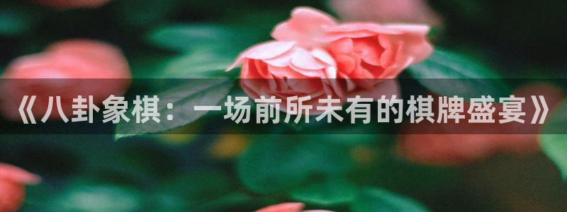 nba直播在线观看88看球官网：《八卦象棋：一场前所未有的棋牌盛宴》