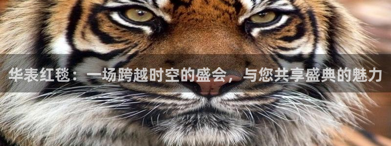 88看球直播体育：华表红毯：一场跨越时空的盛会，与您共享盛典的魅力