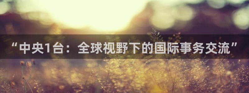 88看球免费nba直播：“中央1台：全球视野下的国际事务交流”