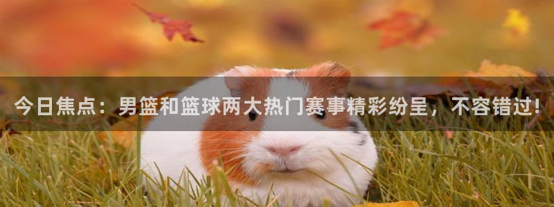 88看球nba直播免费观看高清：今日焦点：男篮和篮球两大热门赛事精彩纷呈，不容错过!