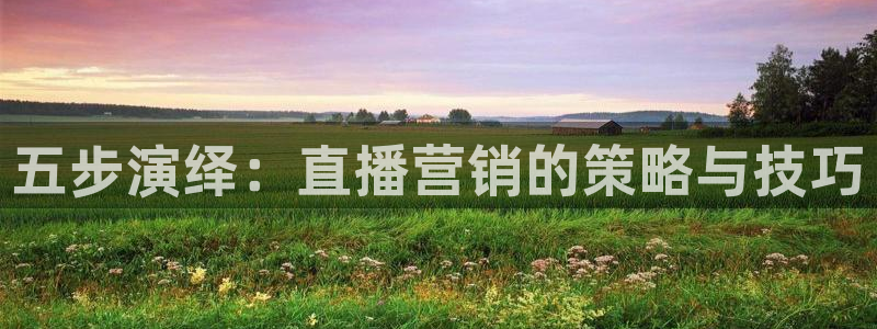 888看球直播nba：五步演绎：直播营销的策略与技巧