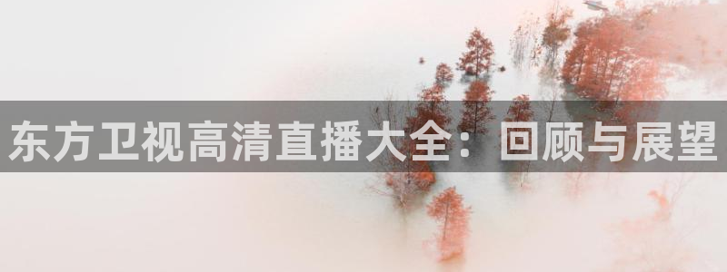 88看球:足球直播_nba线上看_免费体育直播：东方卫视高清直播大全：回顾与展望