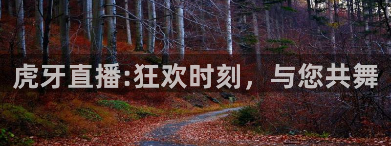 nba88看球直播在线观看：虎牙直播:狂欢时刻，与您共舞