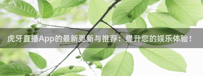 88看球直播官网nba：虎牙直播App的最新更新与推荐：提升您的娱乐体验！