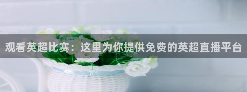 88看球直播平台：观看英超比赛：这里为你提供免费的英超直播平台